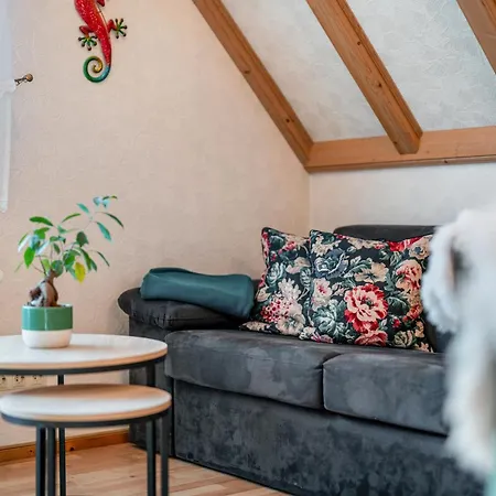 Gaestehaus Absbachtal Bad Rippoldsau-Schapbach Buitenkant foto