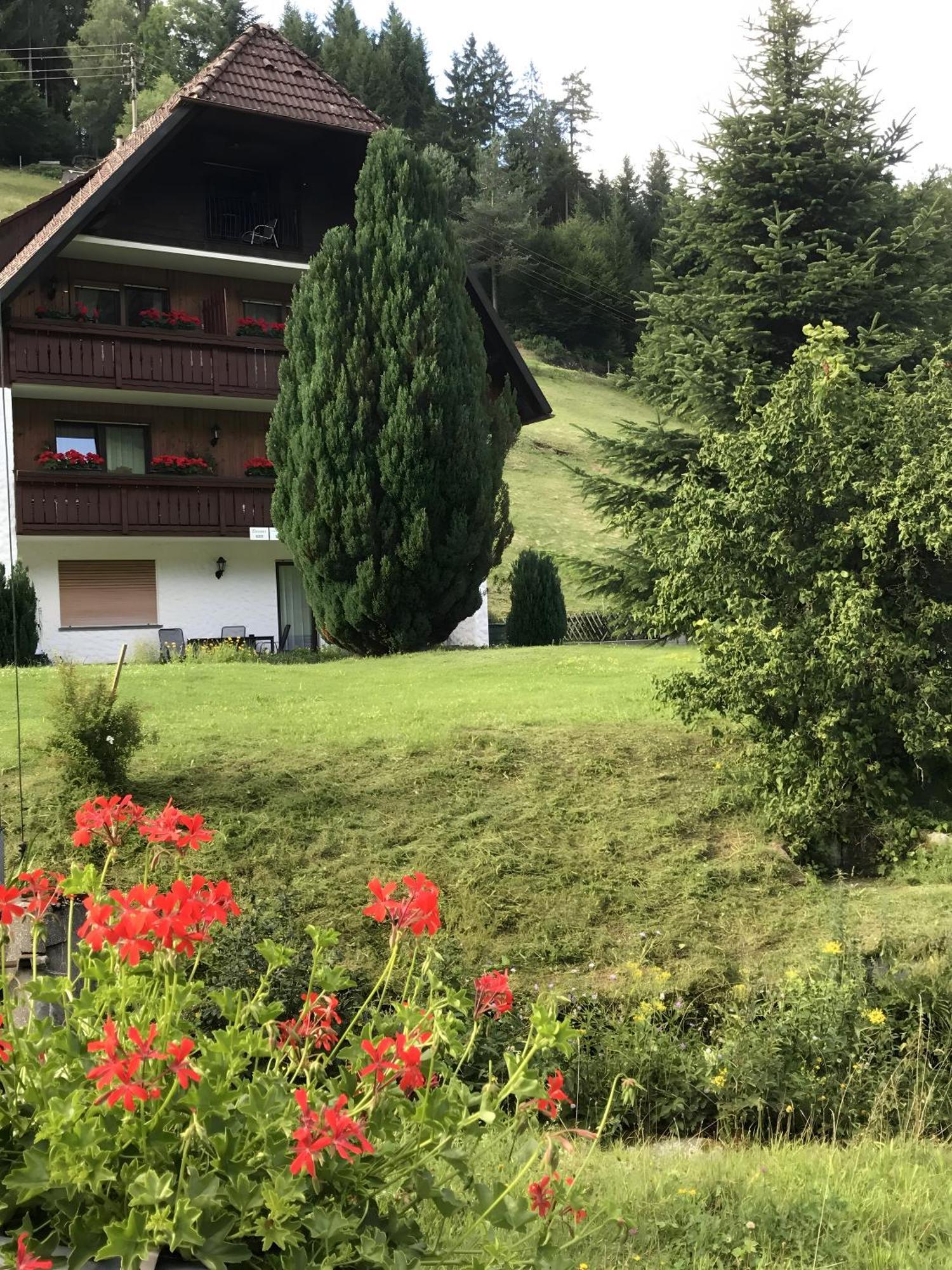 Appartement Gaestehaus Absbachtal *